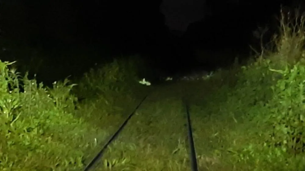 Homem tem a cabeça decepada e pé arrancado após ser atropelado por trem