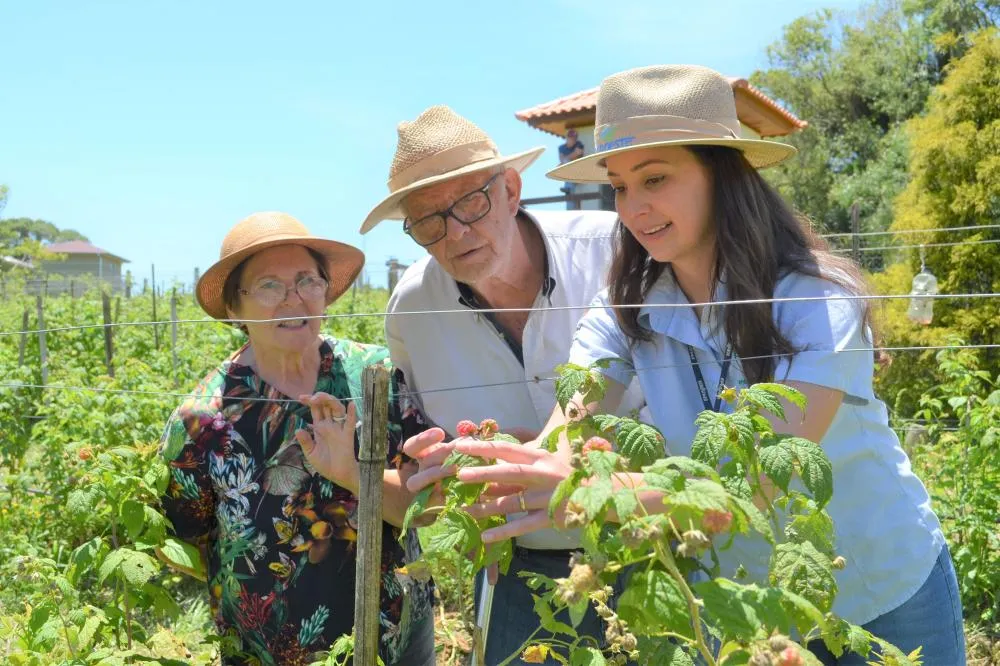 Governador sanciona lei que reestrutura carreira de servidores do IDR-Paraná 