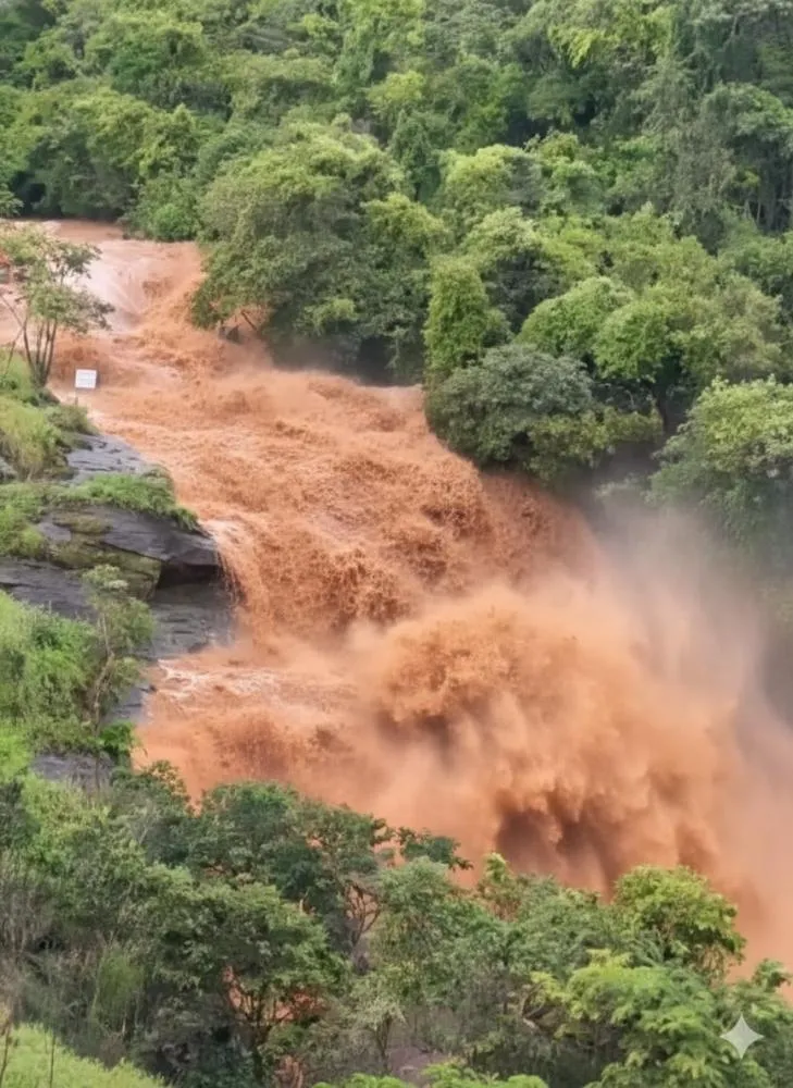 Chuvas intensas provocam transbordamentos, alagamentos e mobilizam forças de emergência no Norte Pioneiro