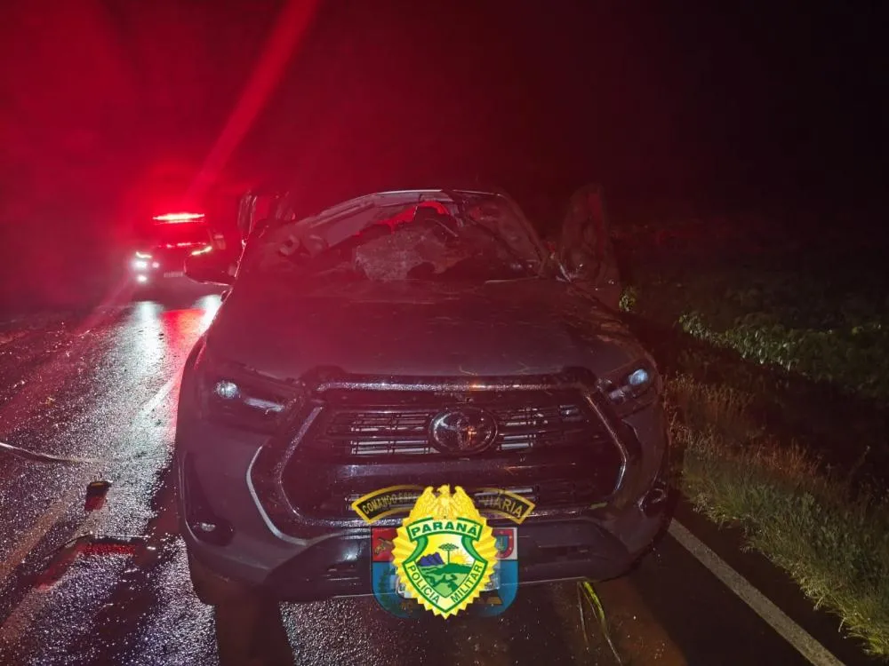 Acidente com caminhonete deixa adultos e duas crianças feridos