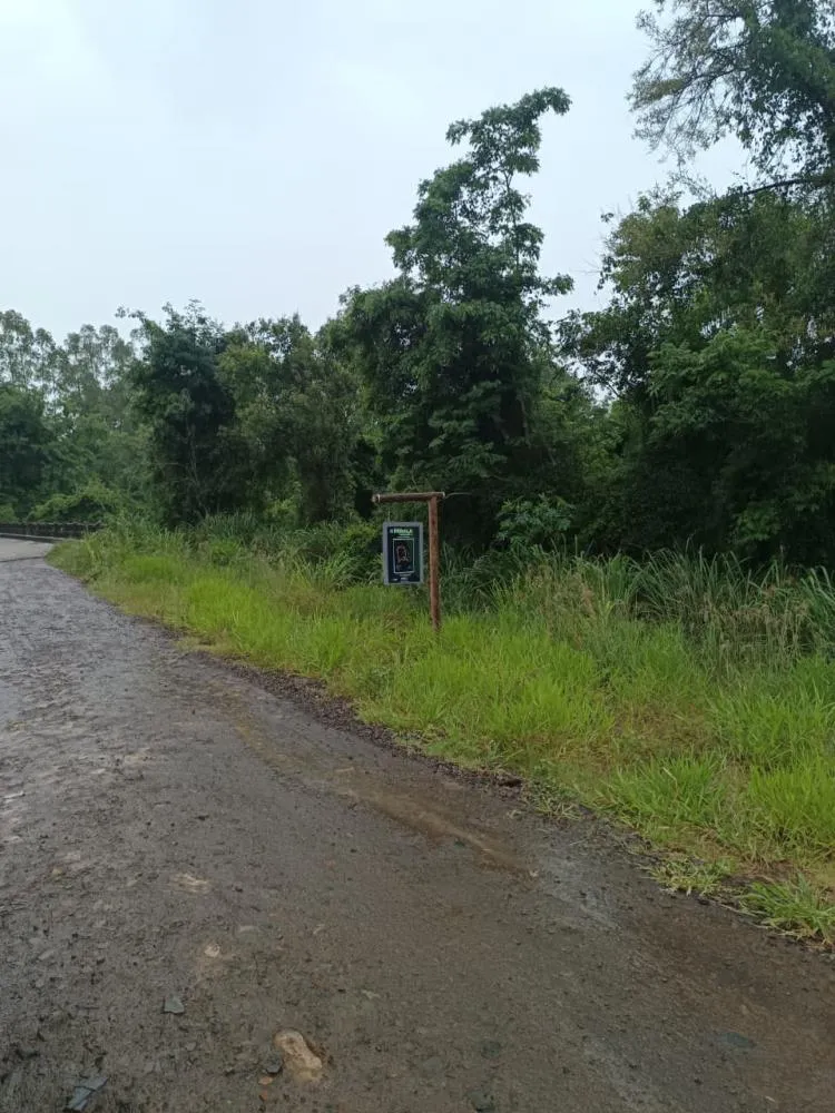 Chuva intensa do final de semana cancela lançamento da Rota do Morango em Jaboti