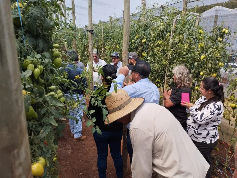 Dia de Campo reúne produtores e fortalece a agricultura orgânica em Wenceslau Braz