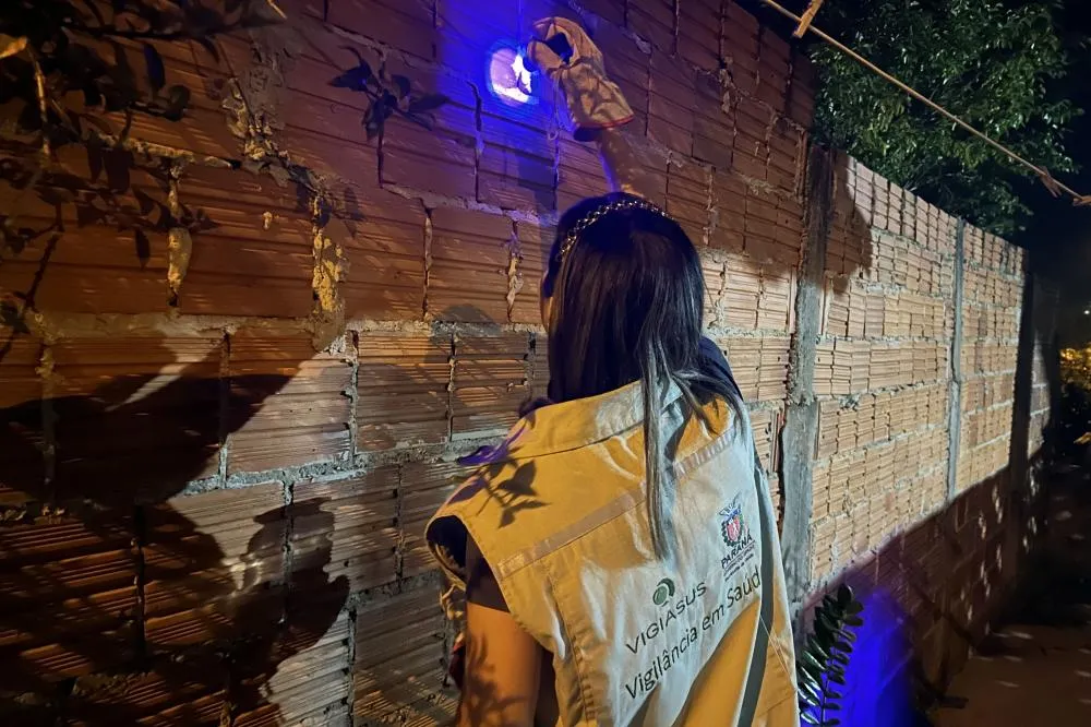 Governo lança campanha para prevenção de acidentes com escorpiões