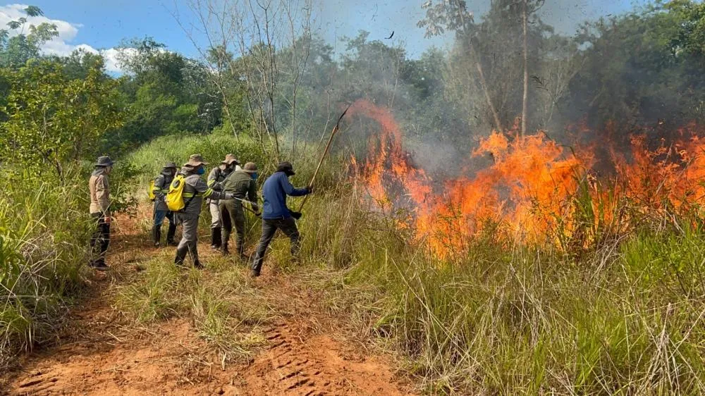 Itaipu registra redução histórica no índice de incêndios florestais em 2025