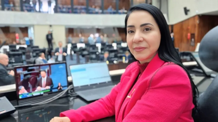 Comissão de Defesa dos Direitos da Mulher consolida avanços legislativos e promove audiências públicas em 2025