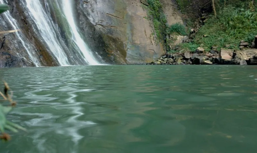 Ataque de abelhas deixa dez feridos em cachoeira de Ibaiti