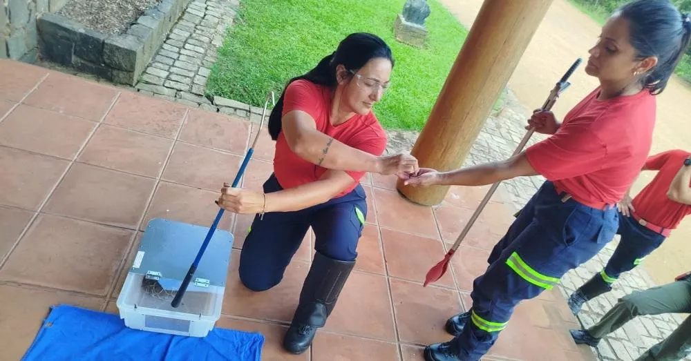 Brigada de Arapoti participa de qualificação sobre captura de animais peçonhentos