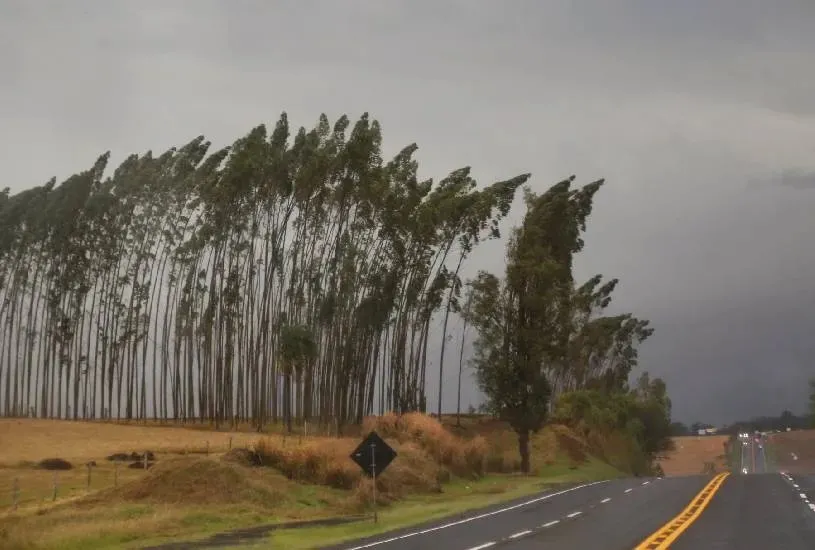 Depois do calorão, tempestade chega ao Paraná e coloca Norte Pioneiro e Campos Gerais em “perigo potencial”