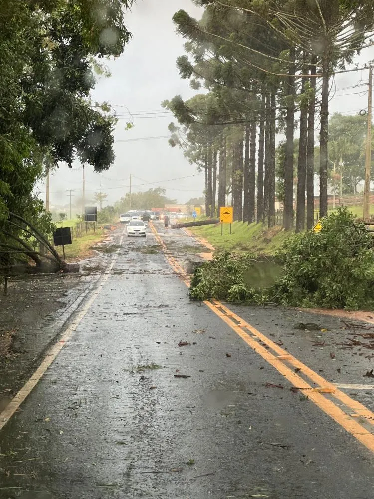 Temporal causa destruição em Jaboti, destelha casas e deixa cidade mais de 17 horas sem energia