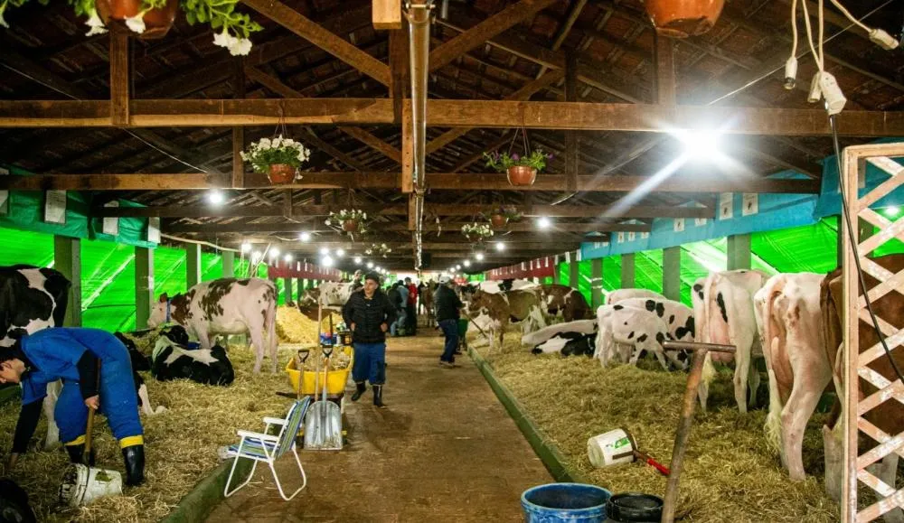 Maior vitrine do agro nos Campos Gerais, Expoleite já tem data marcada em Arapoti