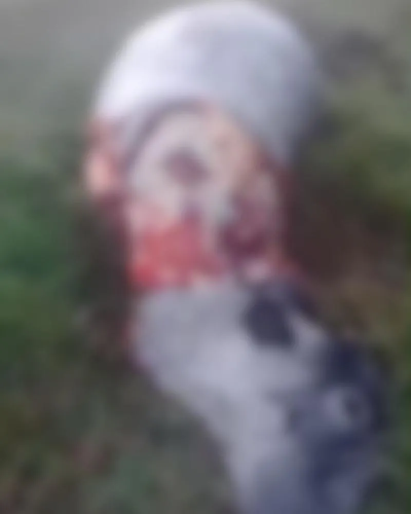Imagem chocante em Siqueira Campos mostra vaca morta com partes do corpo levadas supostamente por criminosos