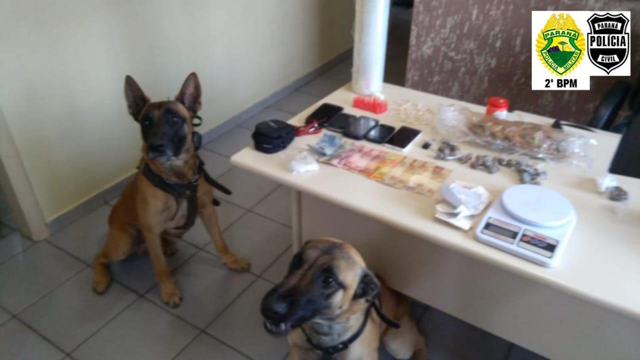 Operação tira de circulação maconha, cocaína e crack em Siqueira Campos