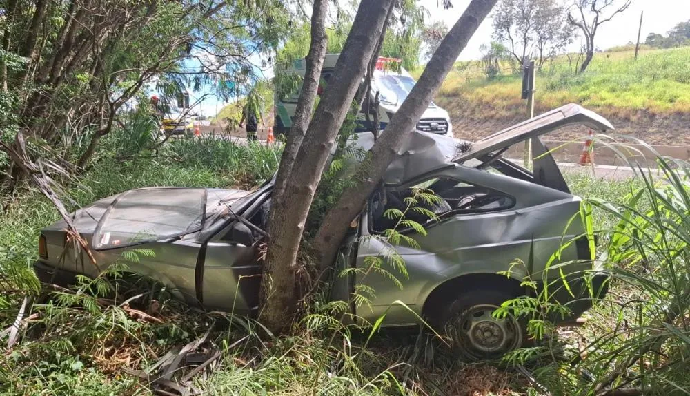 Motorista atinge árvore e sobrevive por milagre na PR092