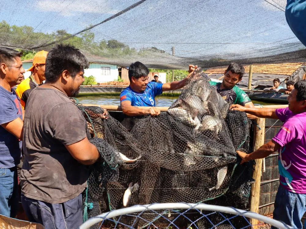Comunidade Avá Guarani realiza manejo sustentável de piscicultura em tanque elevado no oeste do Paraná