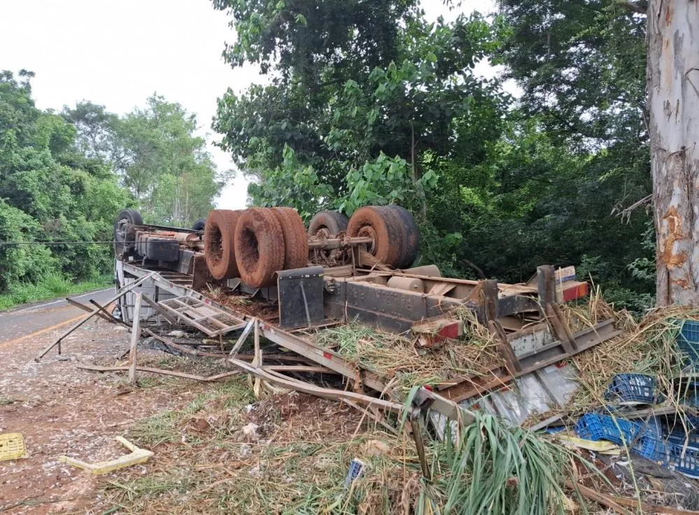 Caminhão carregado com galinhas capota e motorista fica ferido em Tomazina