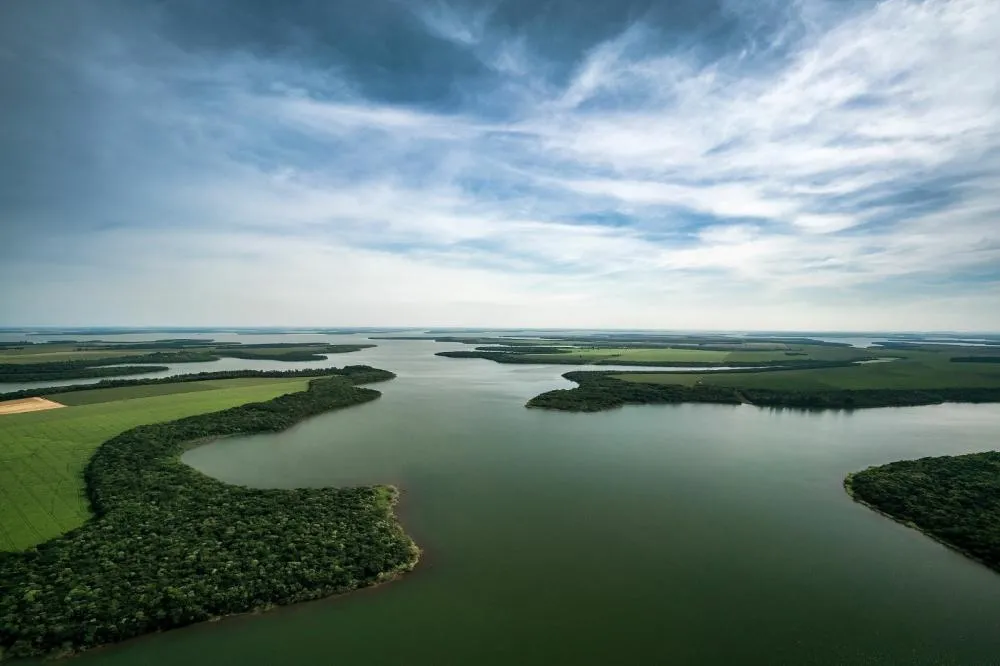 Produção de tilápia no reservatório de Itaipu avança com entrega de estudos ao Itamaraty 
