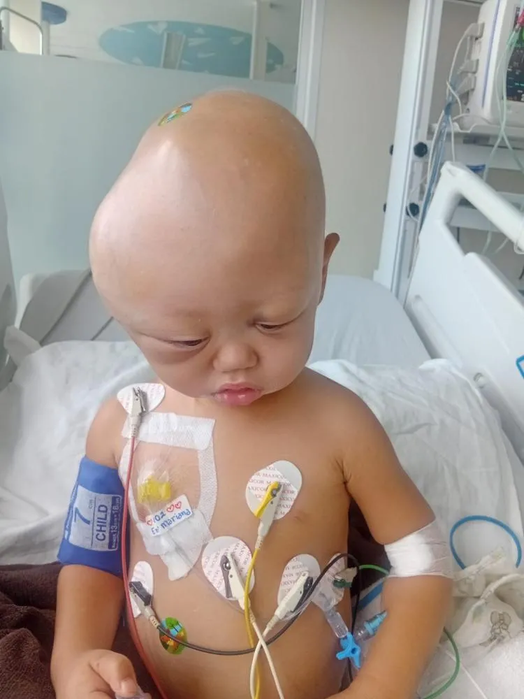 Bebê de dois anos luta pela vida contra câncer agressivo no Norte Pioneiro