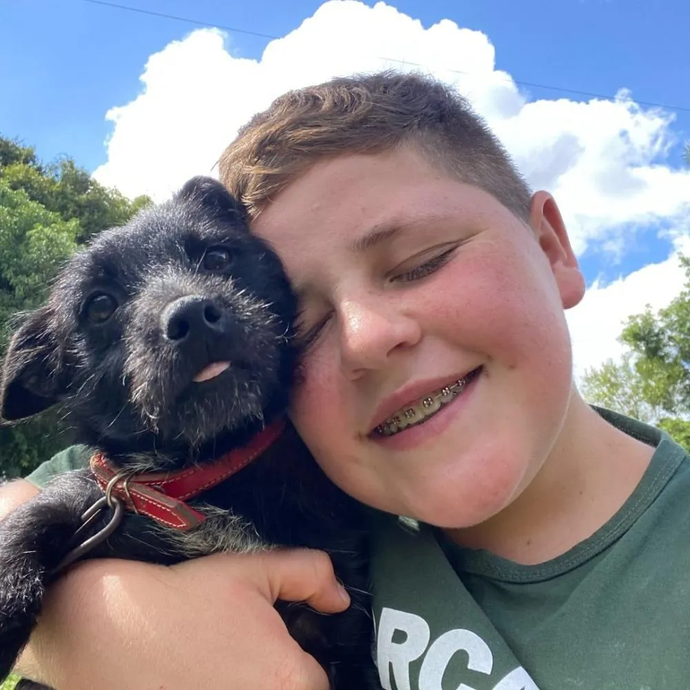 Influencer de Jaguariaíva é acusado por internautas de maus-tratos a animal após vídeo e é afastado das redes sociais