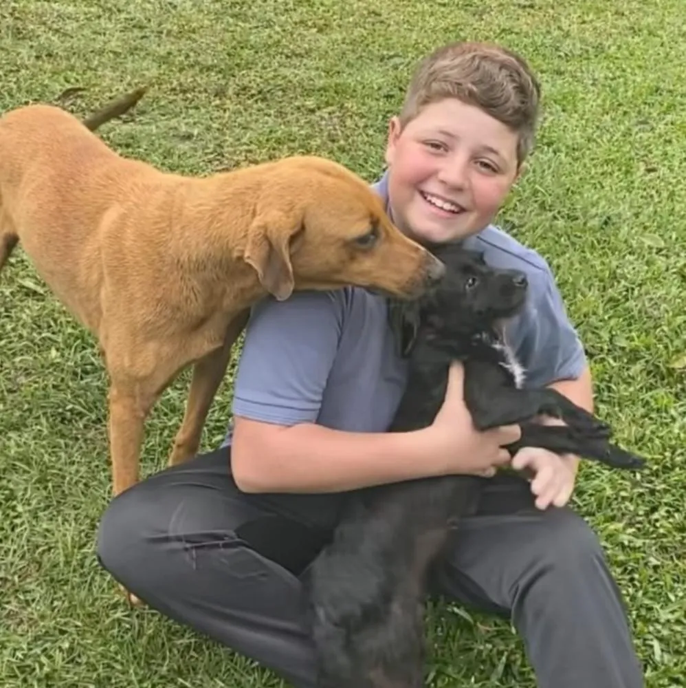 Após revolta nas redes, influencer mirim de Jaguariaíva volta a publicar e tenta virar a página da polêmica