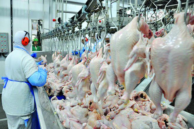 Greve provoca mais de R$ 4,3 bilhões em prejuízos no Paraná