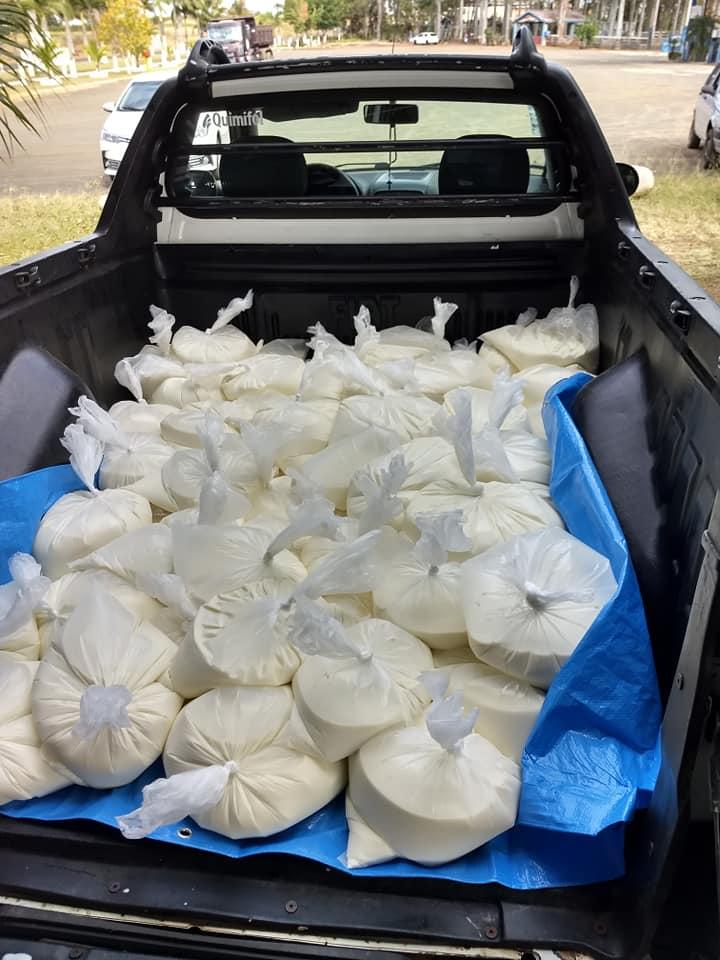 Sem possibilidade de escoamento, produtores distribuem 800 litros de leite para população