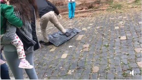 Mulher encontra cachorros comendo feto humano no lixo