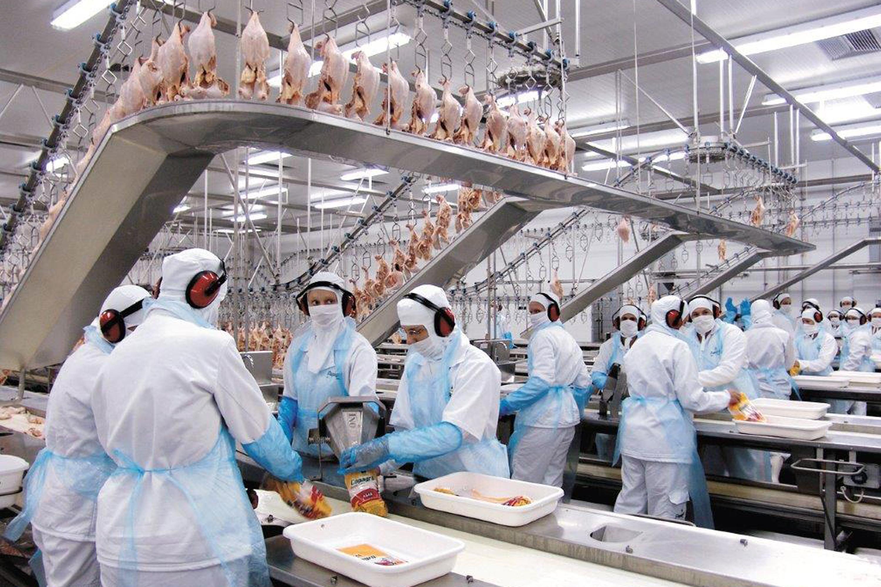 Cerca de 90% dos 246 mil empregos criados no Paraná estão no interior do estado