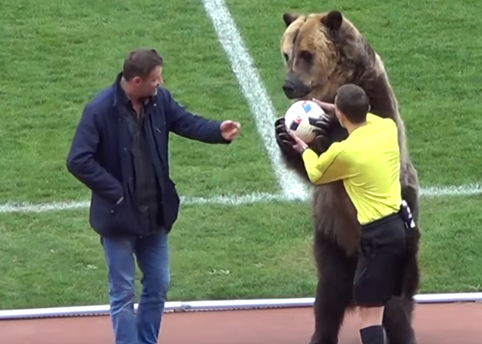 Urso é usado para entregar bola a juiz na 3ª divisão russa e pode aparecer na Copa