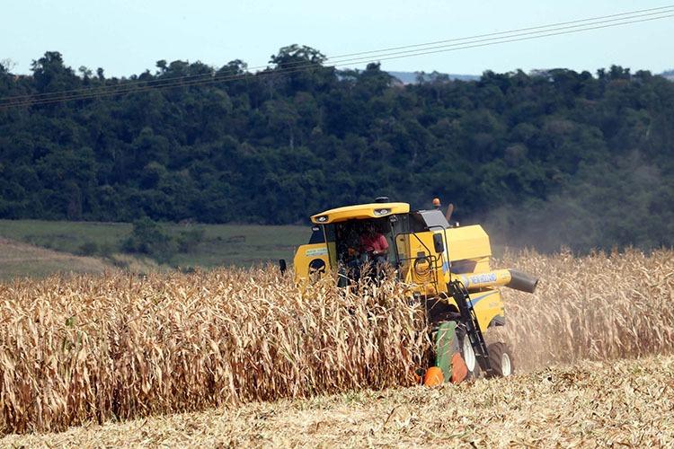 Paraná deverá produzir 37,3 milhões de toneladas de grãos