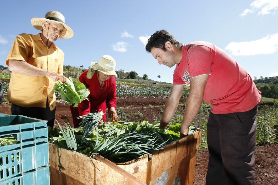 Agricultura investe R$ 130 milhões em programas sociais