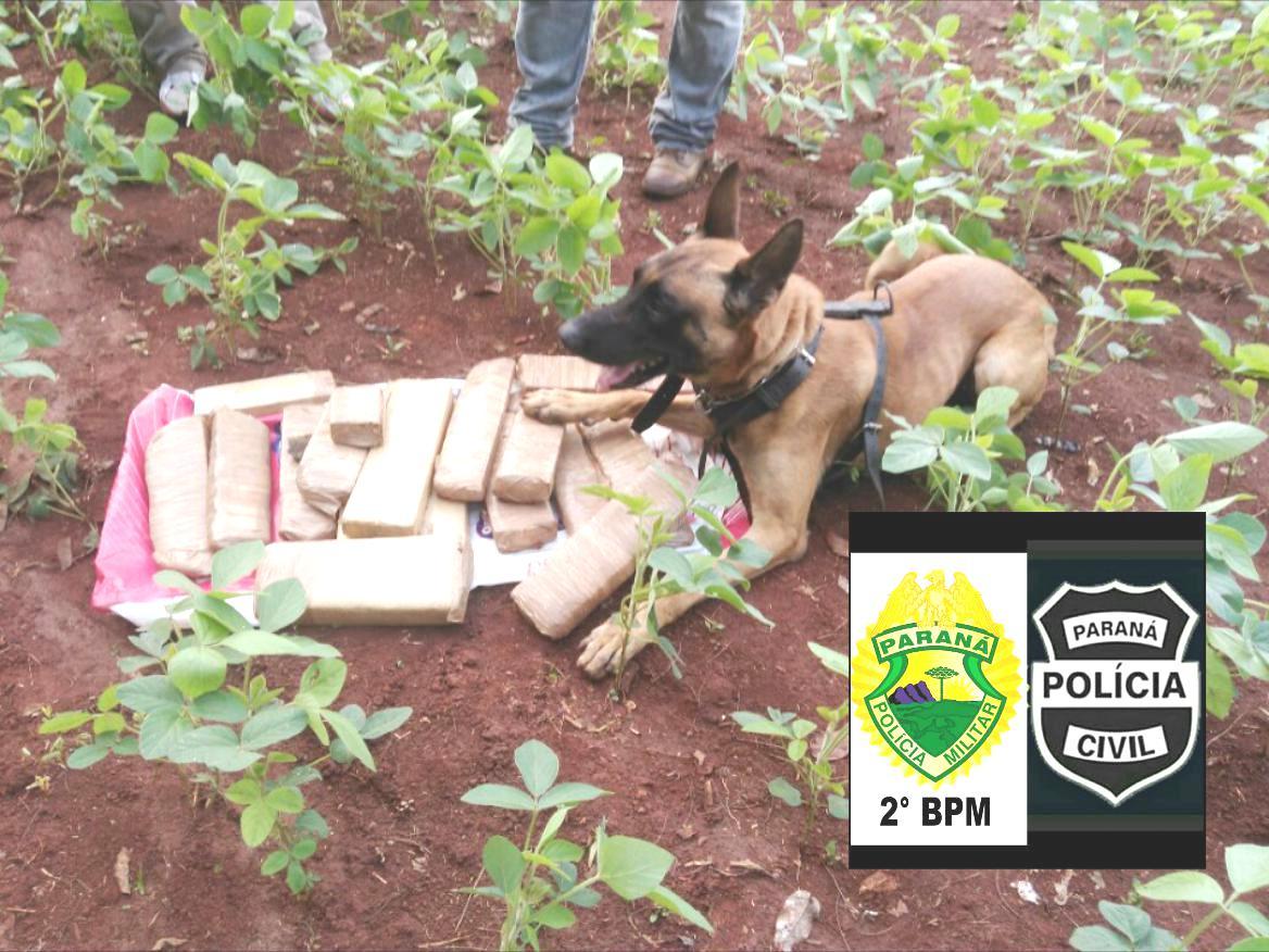 Operação policial encontra quase 15 kg de maconha em Salto do Itararé