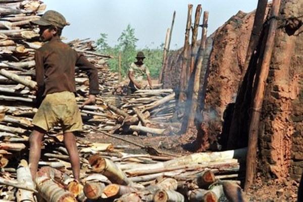 Governo do Paraná lança campanha para erradicar o trabalho infantil