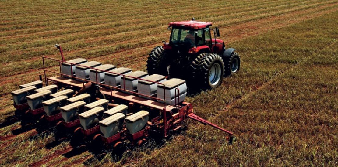 IBGE estima queda de 8,9% na safra de grãos em 2018