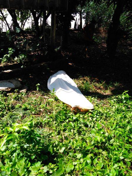 Suspeito de roubar fios de energia morre eletrocutado