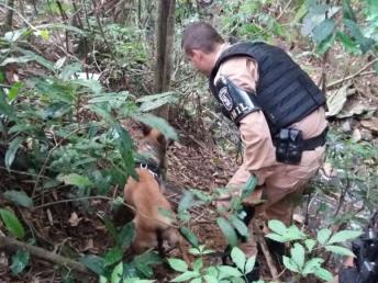 Ocorrência de violência doméstica acaba em prisão por tráfico