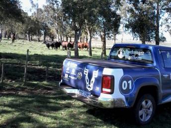 Wenceslau Braz recebe 3ª edição da Caravana da Produtividade