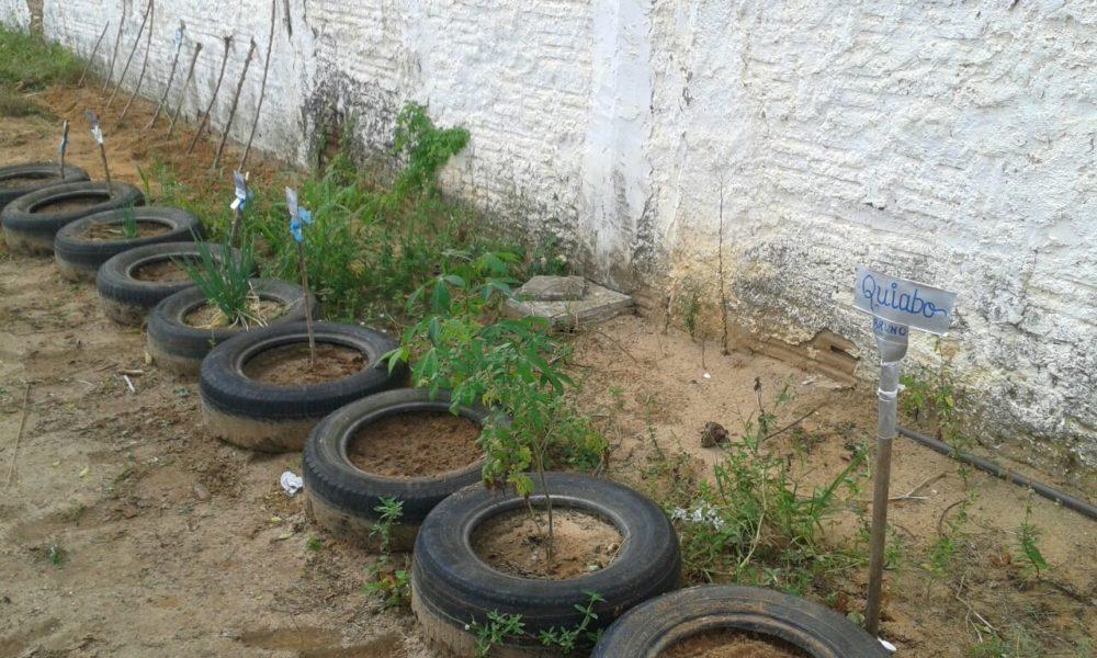 Menor “plantava” pedras de craque na horta de casa