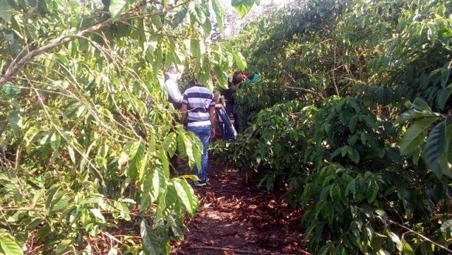 Jovem furta residência e leva quase dois quilos de salsicha em Ibaiti