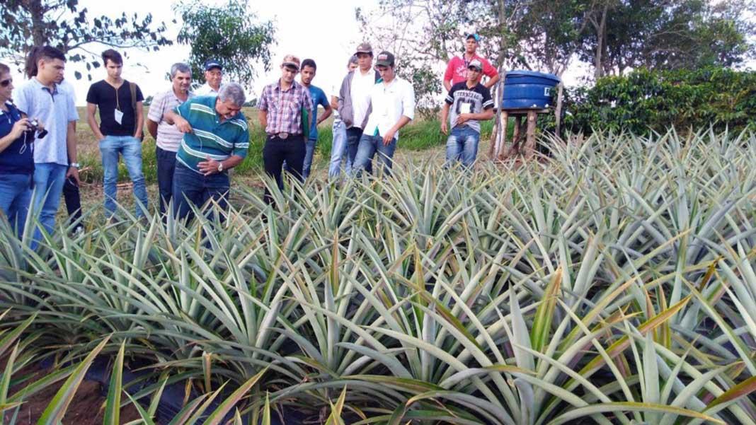 NRE, Emater e Ibaiti firmam parcerias com os Jovens Fruticultores