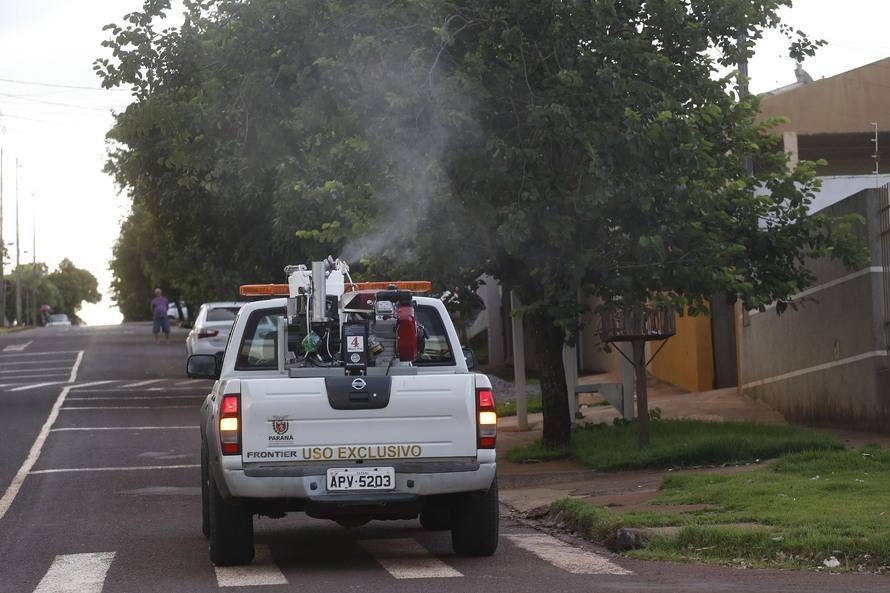 Paraná tem mais 500 casos de dengue confirmados em uma semana, indica boletim