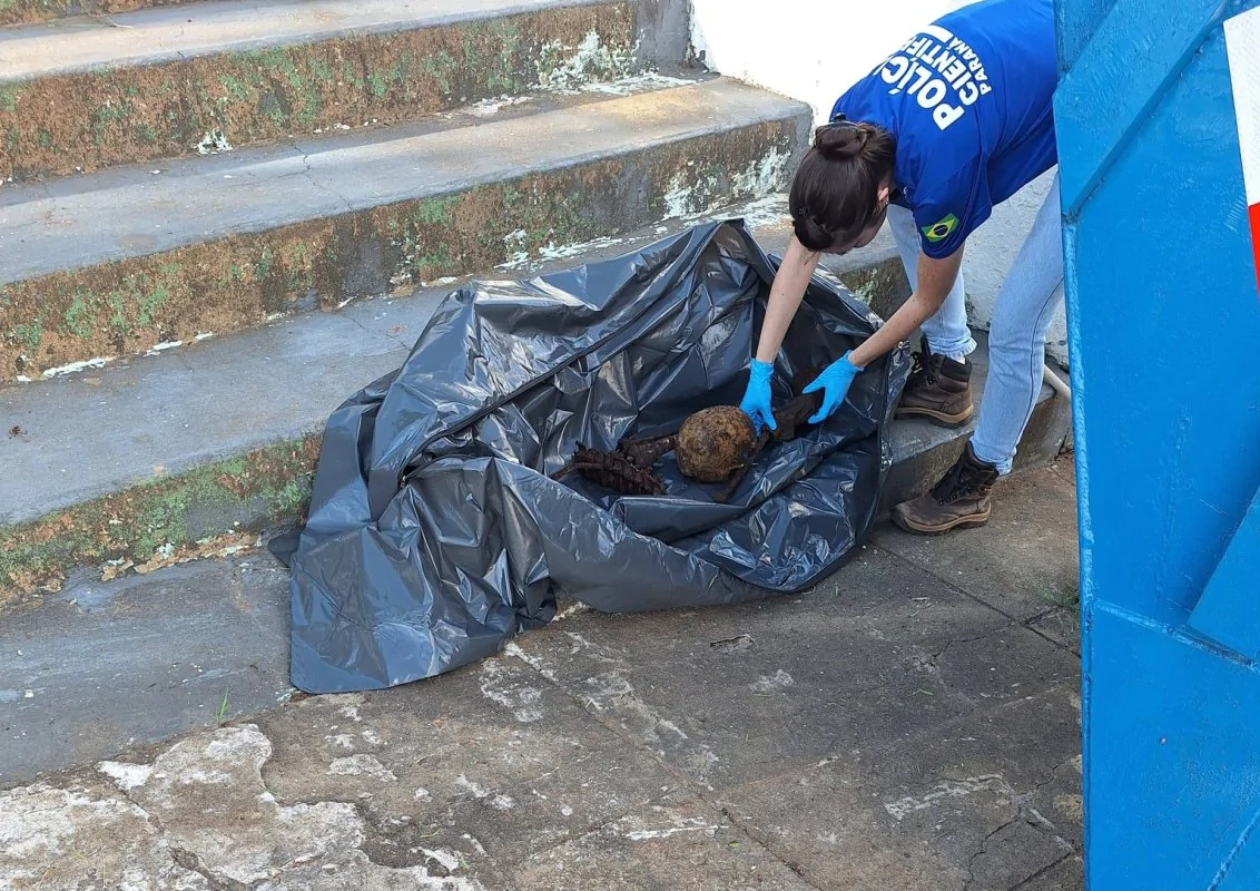 Ossada humana é encontrada dentro de caçamba em Siqueira Campos