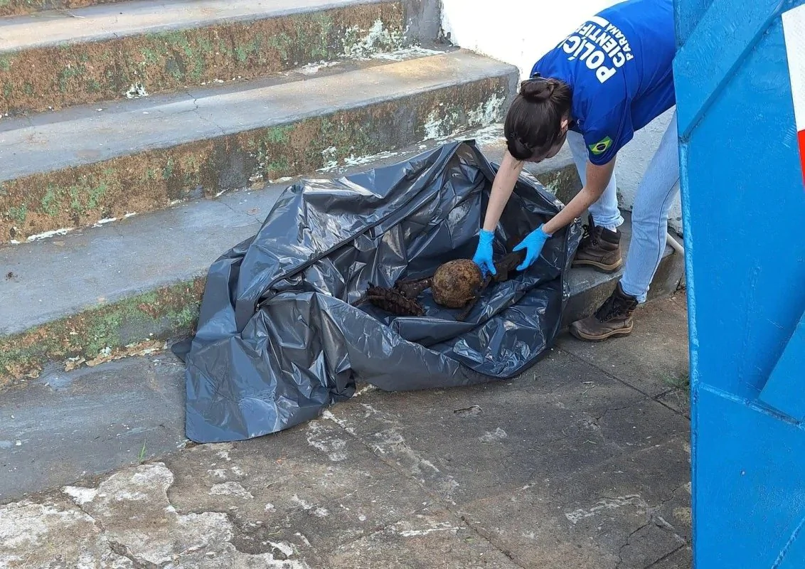 Mistério em Siqueira Campos: ossada encontrada em caçamba pode ter sido retirada de túmulo