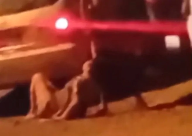 Marido e amigo são presos suspeitos de tentar matar mulher no Norte Pioneiro