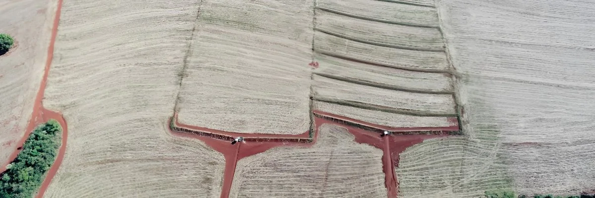 Uso de terraços em lavouras reduz perda de água e solo