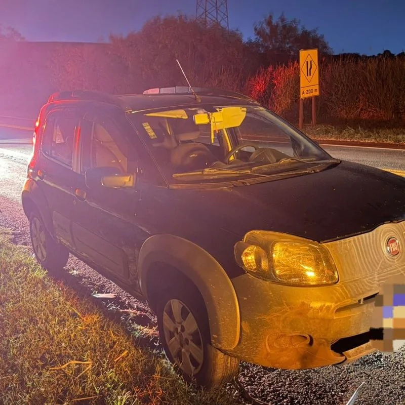 Javali causa mais um acidente em rodovia no Norte Pioneiro