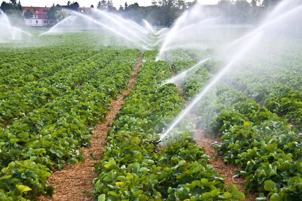 Atendendo pleito do Sistema FAEP, Estado prorroga isenção do ICMS a produtos do agro