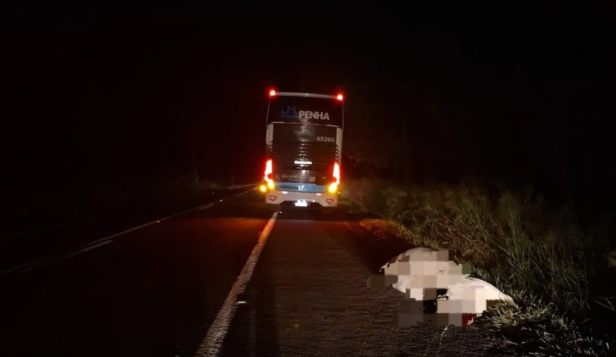 Ônibus da Penha sofre acidente causado por boi solto na PR092