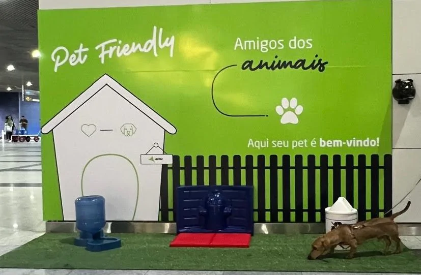 Assembleia aprova regras para espaços “Pet Friendly” em comércios do Paraná